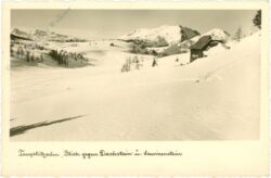 tauplitzalm, blick gegen dachstein u. lawinenstein