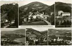 waldbach, multiansicht