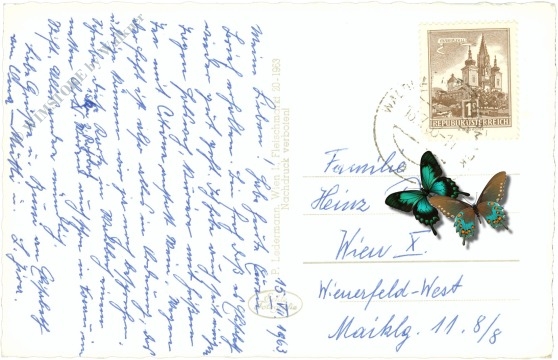 waldbach, multiansicht