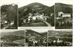 waldbach, multiansicht