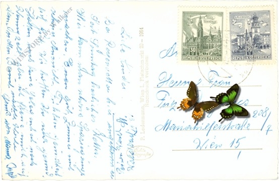 waldbach, multiansicht