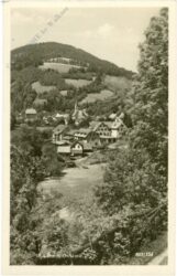 wildbach, ortsansicht