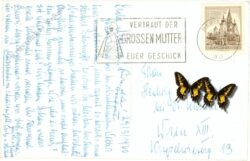 mariazell, walster, hubertussee