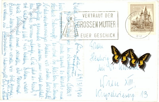 mariazell, walster, hubertussee