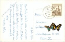 mariazell, erlaufsee