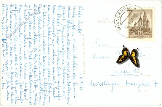 mariazell, hirschfütterung, jager mandl