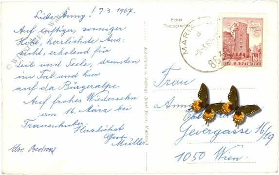 mariazell, bürgeralpe, berghotel