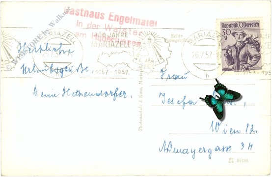 mariazell, walster hubertussee