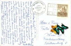 silbertal, berggasthaus "fellimandli"