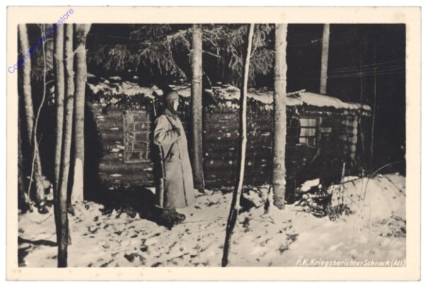 Im verschneiten Wald auf einsamer Wacht