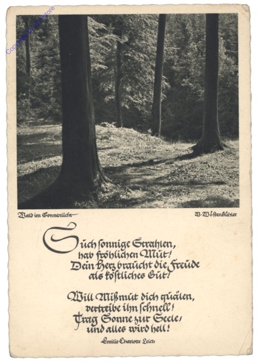 akg10410 Gedicht
