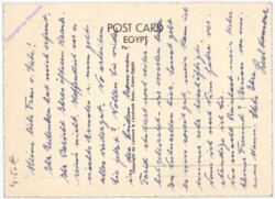 Ägyptische Weihnachtsgrüße