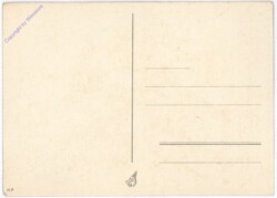 XI. Vsesokolsky Slet V Praze