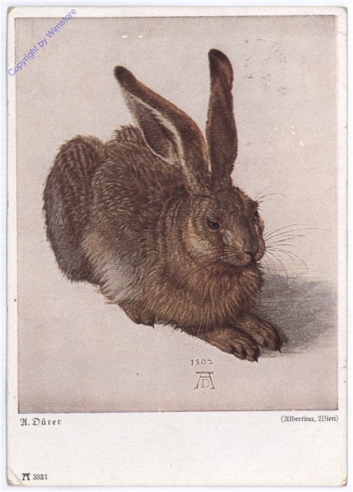 A. Dürer, Feldhase