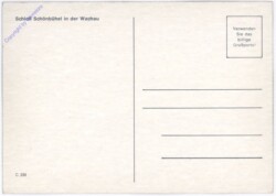 akg10829a Dampfer vor Schloss Schönbühel