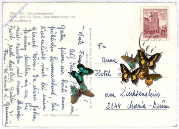 akg10844a Dampfer auf der Donau