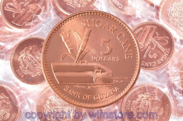 Guyana Lot: 25 Stück, 5 Dollars 2008, KM 51, Stahl verkupfert, -st, ggf. winz. Flecke