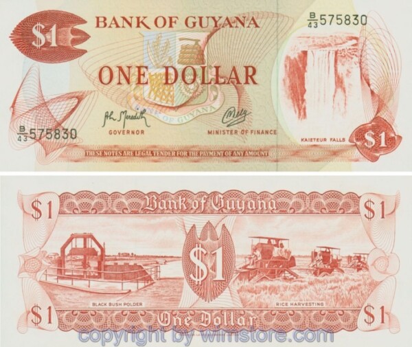 Guyana, P021g, 1 Dollar (1992); Serie B/43, Sign. 9; 1