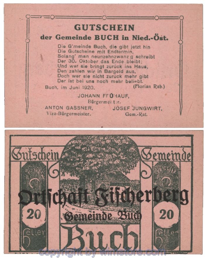 Buch, G0113S3s, 20 Heller; 1