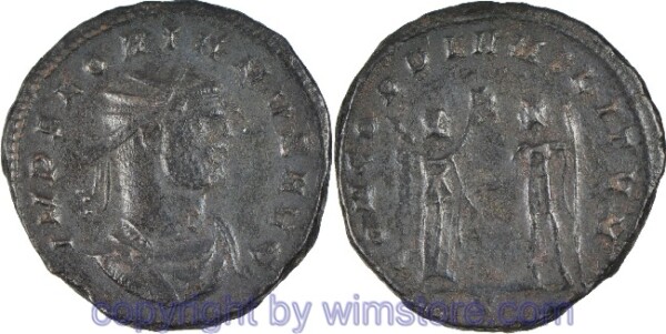 Florianus 276, Antoninian, IMP FLORIANVS AVG // CONCORDIA MILITVM / V? Victoria steht nach links und bekränzt den Kaiser., Bronze, s-ss